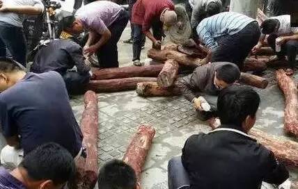 一夜暴富赌石案例,一夜暴富赌石真实经历