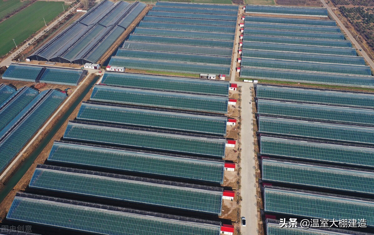 安徽日光温室大棚建造视频造价,临沂节能日光温室大棚造价多少钱