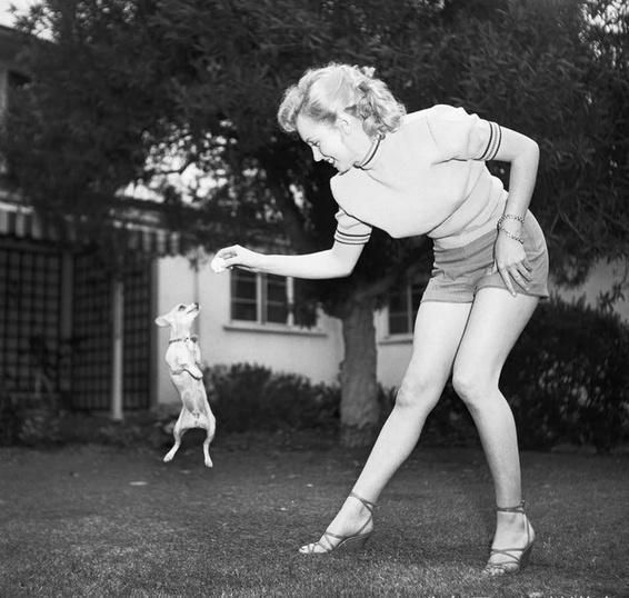 罕见历史照，梦露参加肯尼迪宴会礼服价值百万，伊丽莎白女王登基