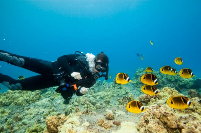 潜水的魅力有多可怕,从来没潜水的人能潜水吗