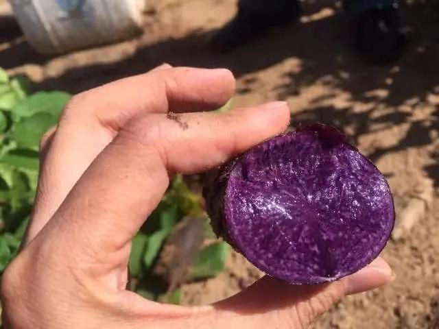 鍗佸牥瓒呭叏钄彍姘存灉,鍗佸牥鏂伴矞姘存灉