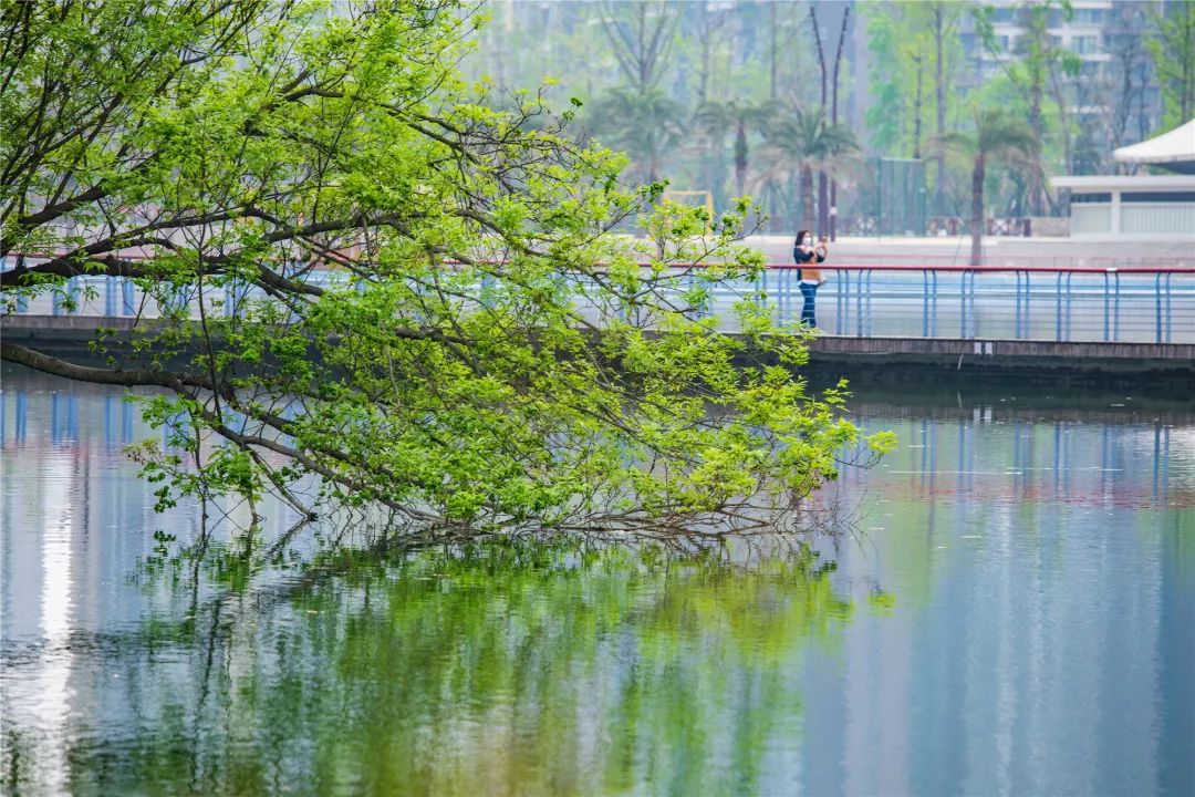 成都城市绿道,成都被山包围