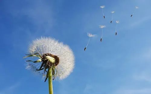 36岁生日致自己的一段话,写在39岁生日的自己