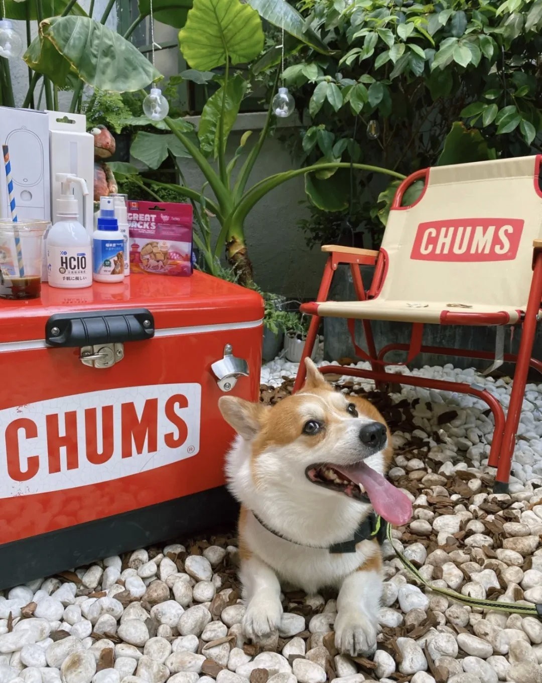 露营主题咖啡馆成本,露营咖啡厅真的很赚钱吗