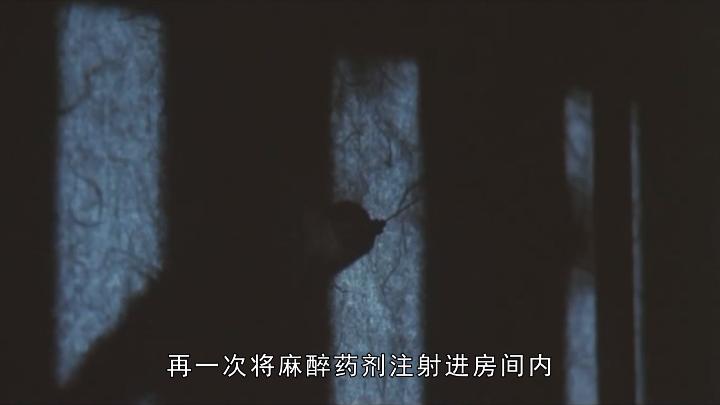 颠覆三观的人性电影,颠覆三观的人性丑恶嘴脸