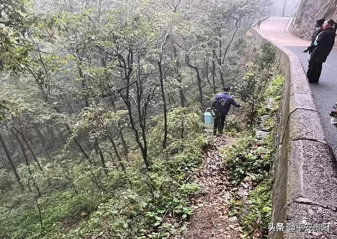 越来越嚣张了怎么办,越来越嚣张怎么解决