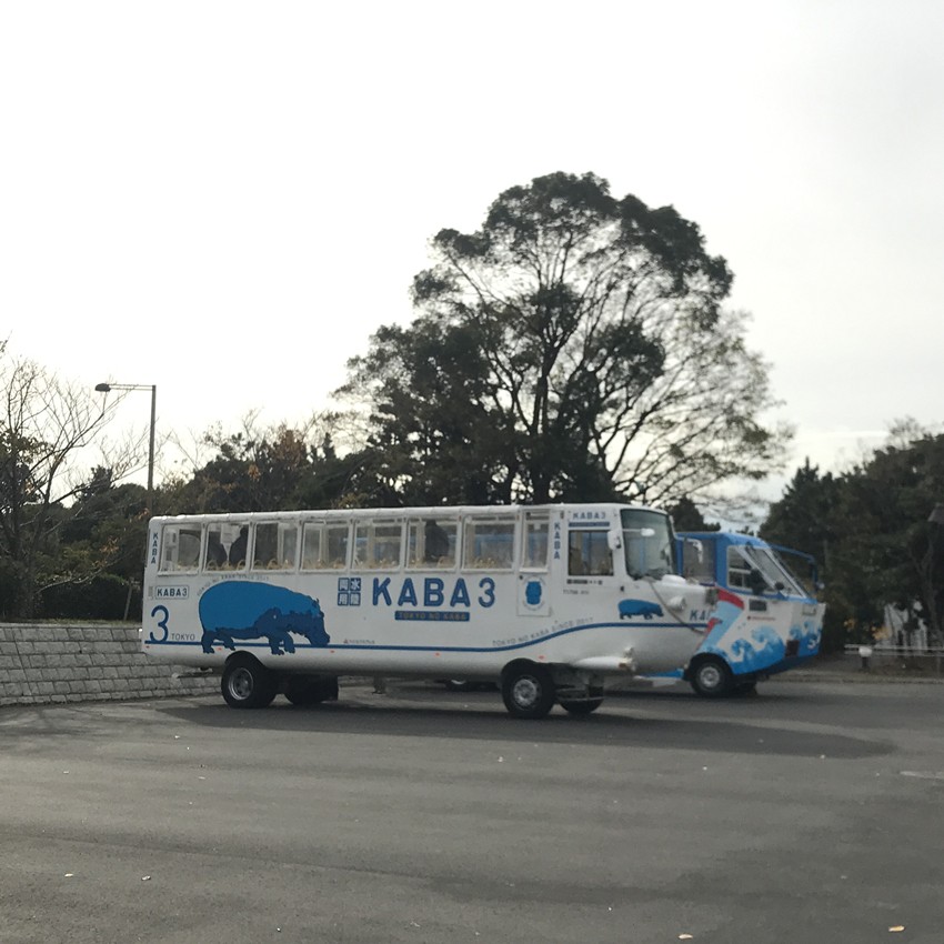 东京自由行攻略详细介绍视频大全,东京自由行最佳攻略详细