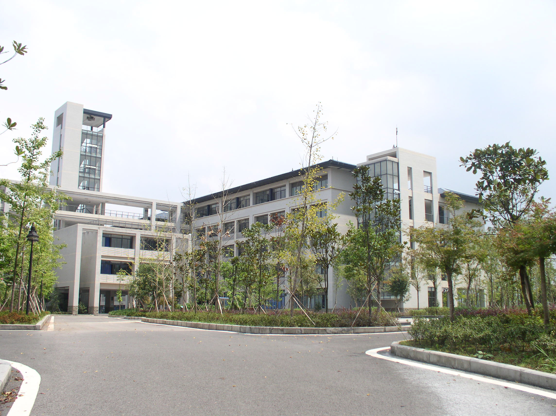 重庆大学城为什么繁华,重庆大学城20年前的样子