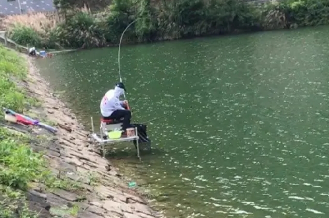 气温突然一降草鱼还开口吗,气温高了钓鲫鱼全是白条