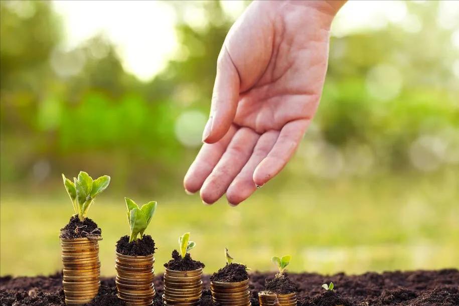 微信理财投资钱生钱,理财投资钱生钱有哪些方法