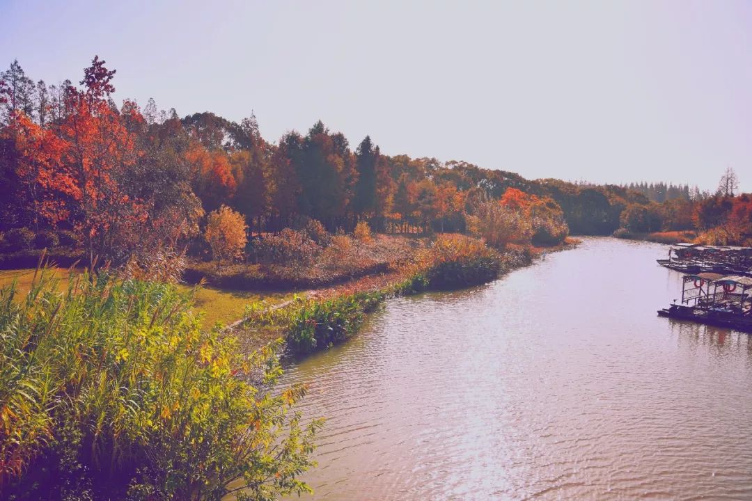 上海国庆小众旅行攻略路线图,上海出发国庆旅游攻略推荐