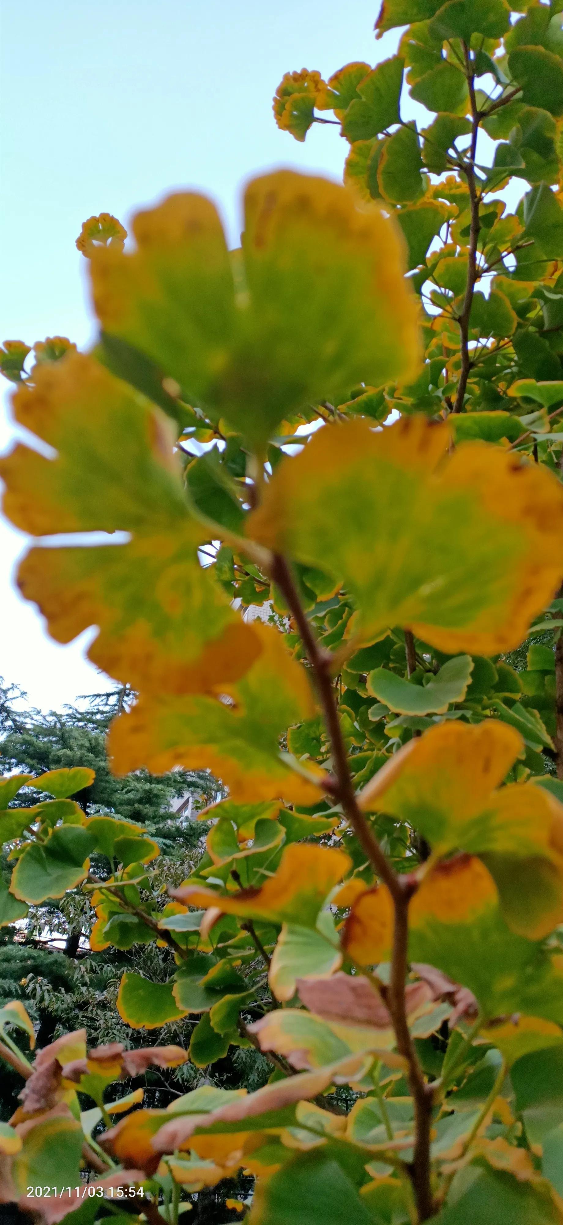 达则兼济天下穷则独善其身,达则兼济天下穷则独善其身素材