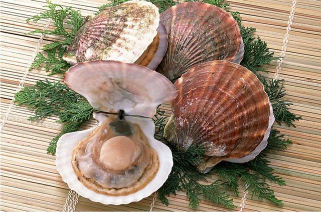 食用海鲜扇贝图片大全,无壳扇贝肉种类