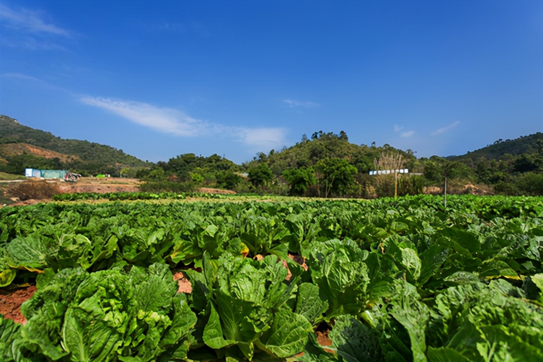 占地9000英亩豪宅,深圳占地9000平方最大别墅
