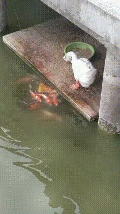 村民建房的风水,农村村长家的房子都是什么样