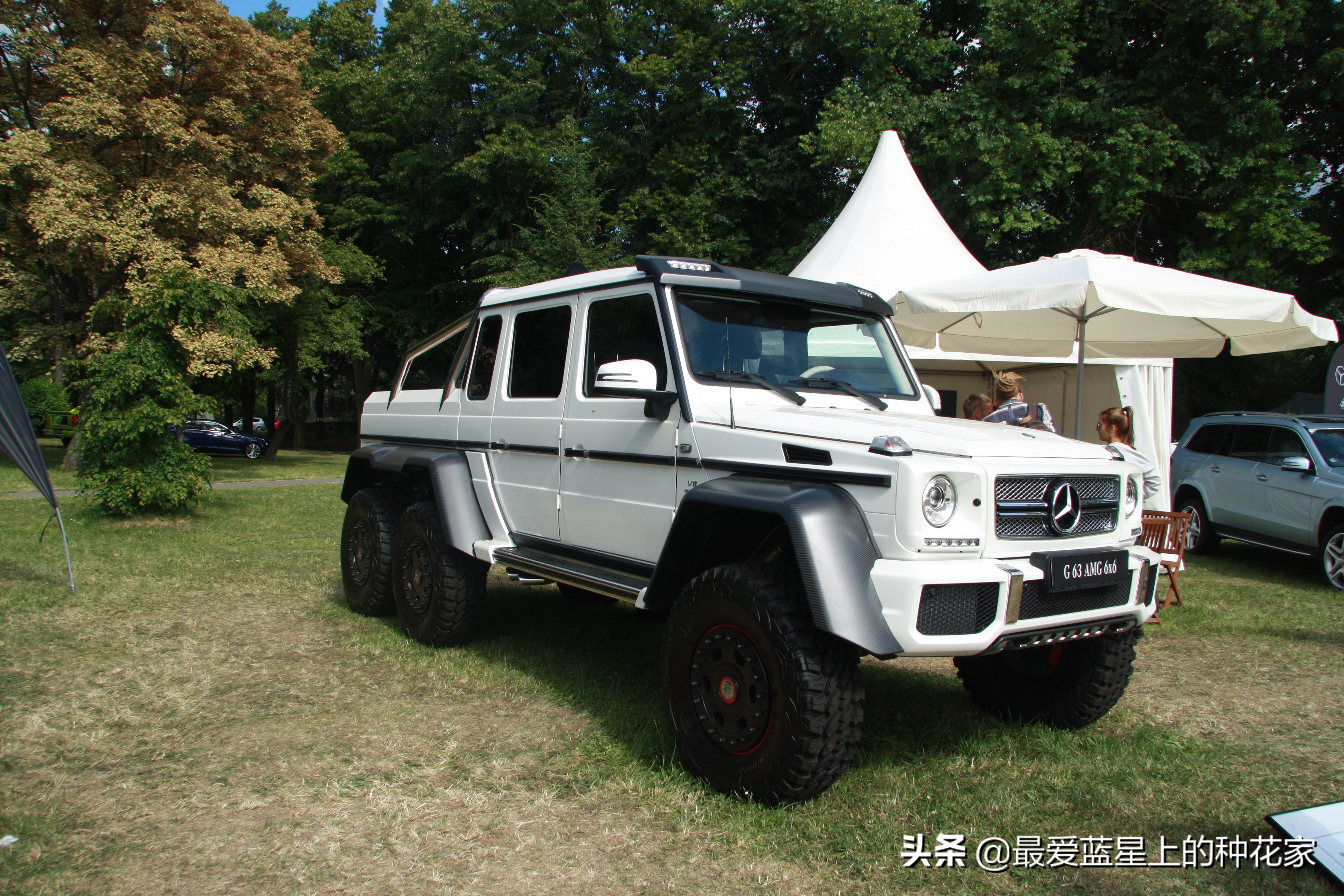 奔驰大g1994老款,奔驰大g有几款车型和价格