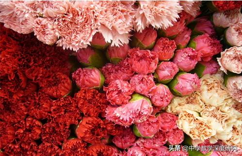 母爱是一种巨大的火焰全集,母亲的学习是最好的家庭教育