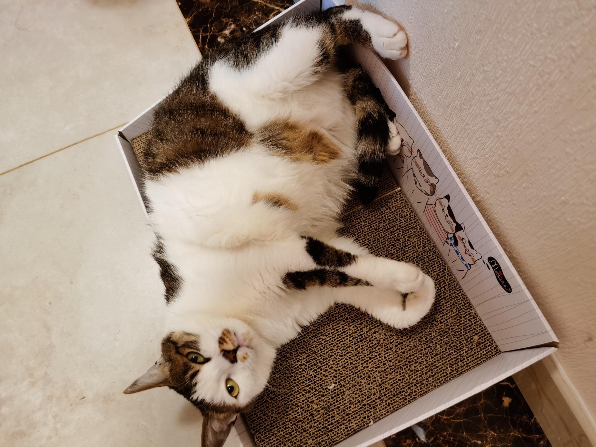 荣耀v30pro5g值不值得买,荣耀v30pro5g缺点与不足