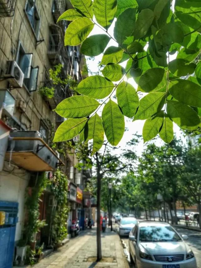 西安市第一中学初中怎么样,西安市第一中学如何上