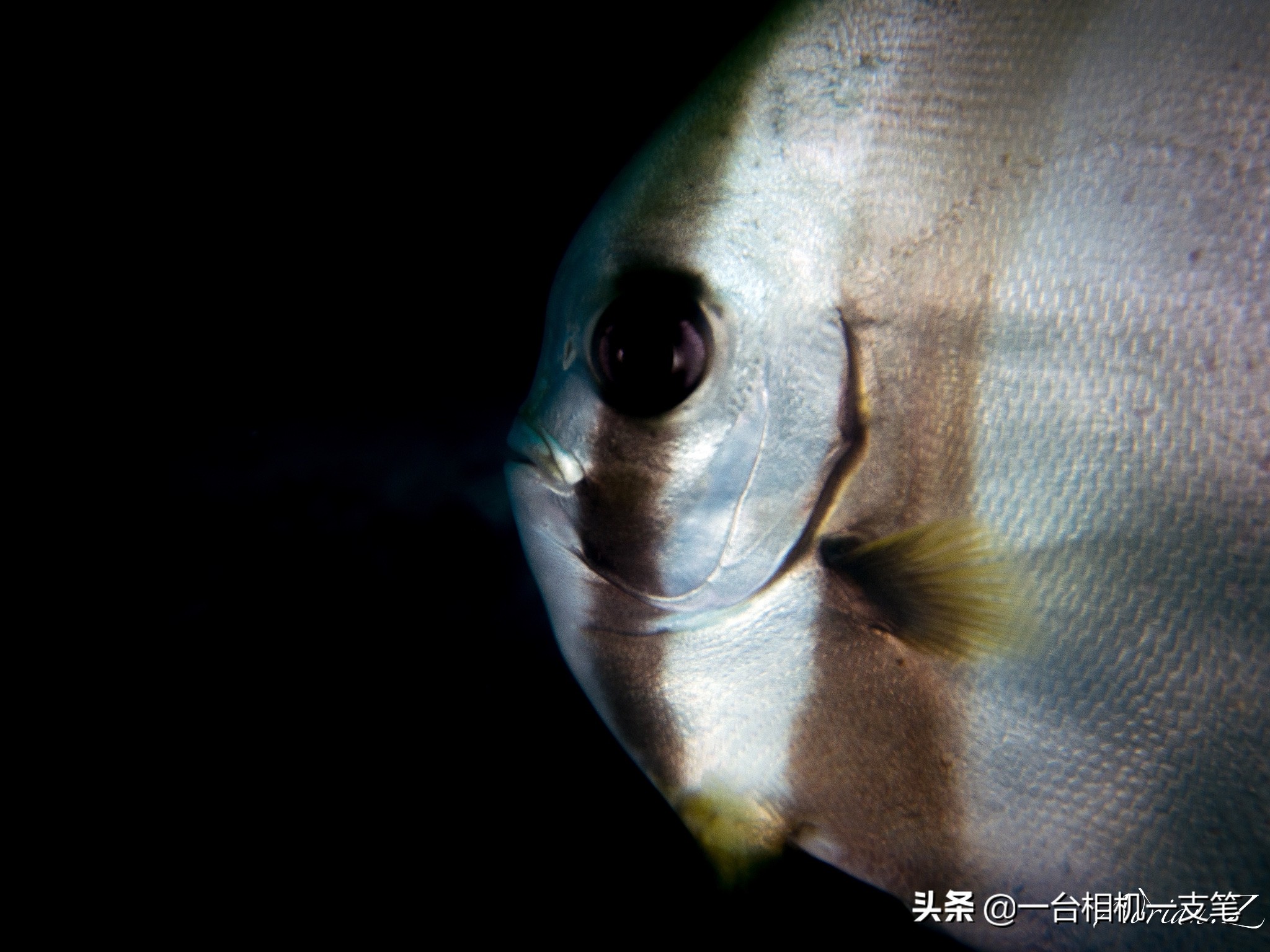 马来西亚隐世小岛,隐世海岛美景