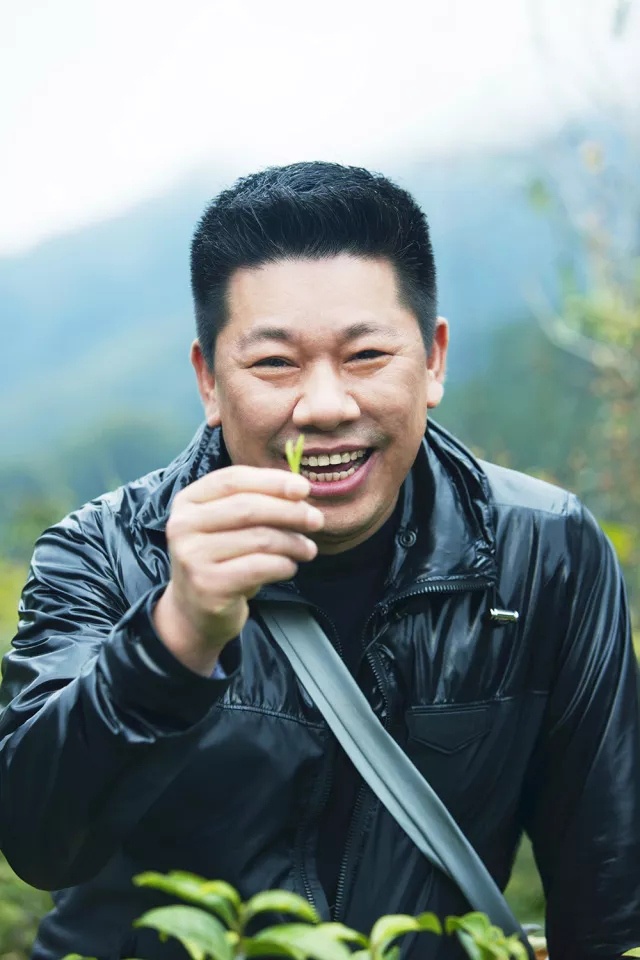 从背背佳到小罐茶,从背背佳到8848再到小罐茶