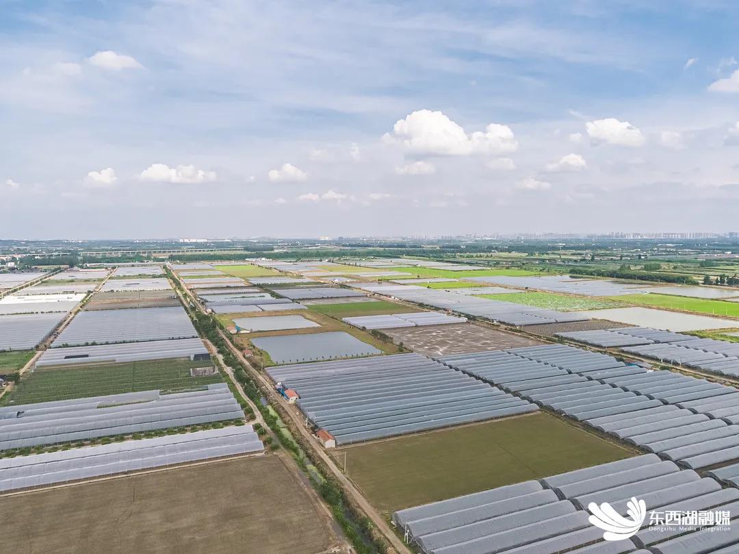 智慧水果是指哪种水果,什么是智慧果园