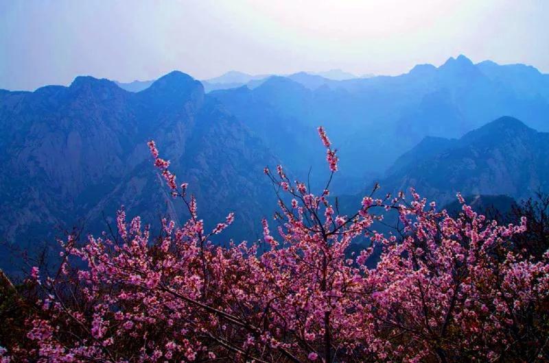 华山黑龙潭是真的假的,探索华山未解之谜黑龙潭