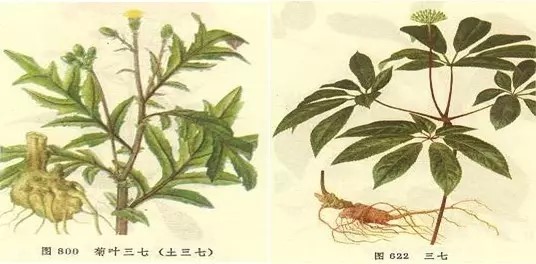 传统中草药的弊端,传统中药的优势与劣势