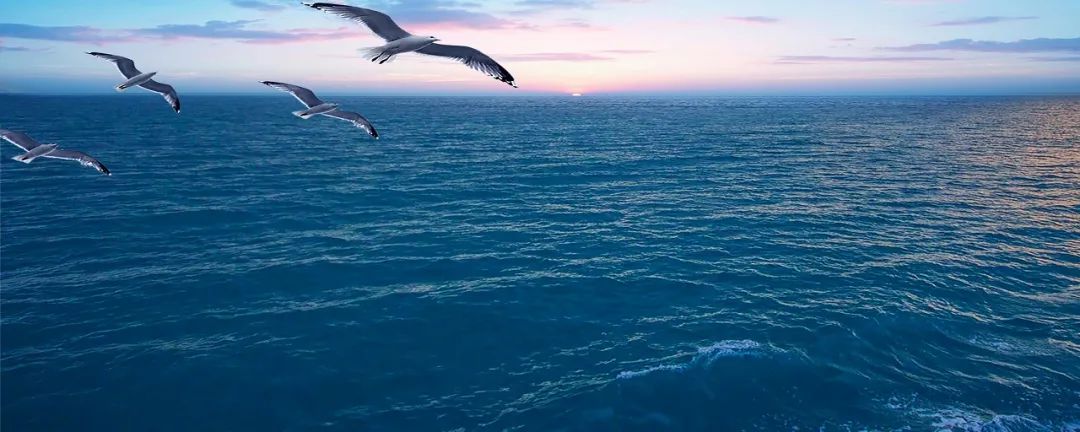 天弘激光,天弘激光官网