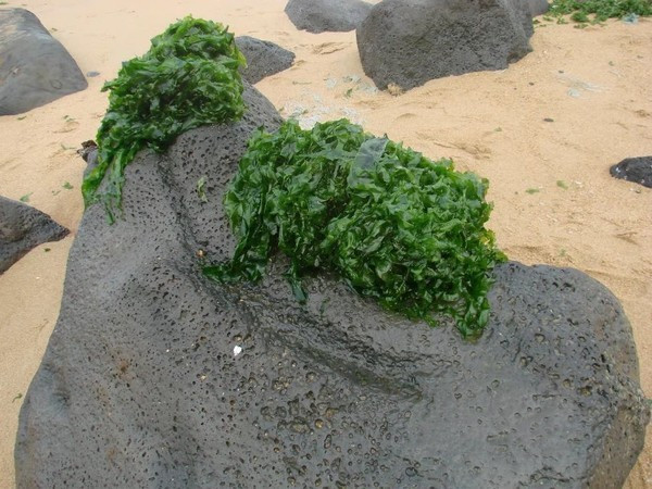 一个人在海边玩一天,一个人在海边怎么玩