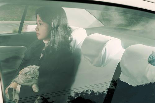 心理学家越是内向的人越厉害,心理学家都是什么性格