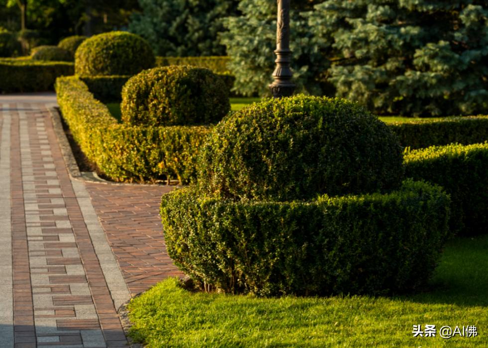 美国各州最富有的镇,美国所有城市最富的是哪个城市