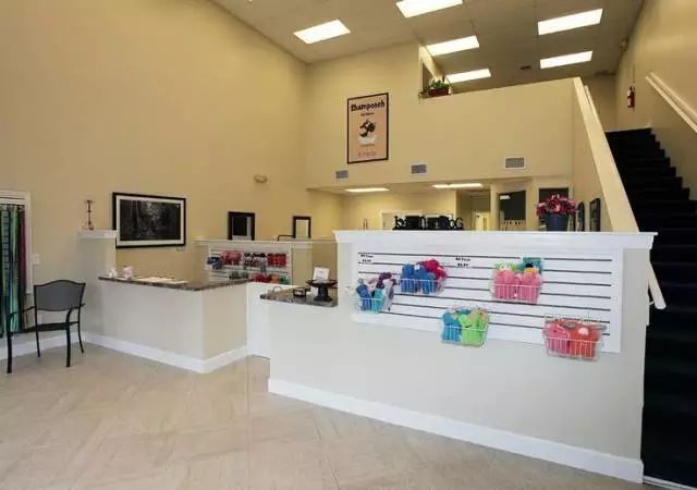 如何装修宠物店高端大气,如何运营一家高端宠物店