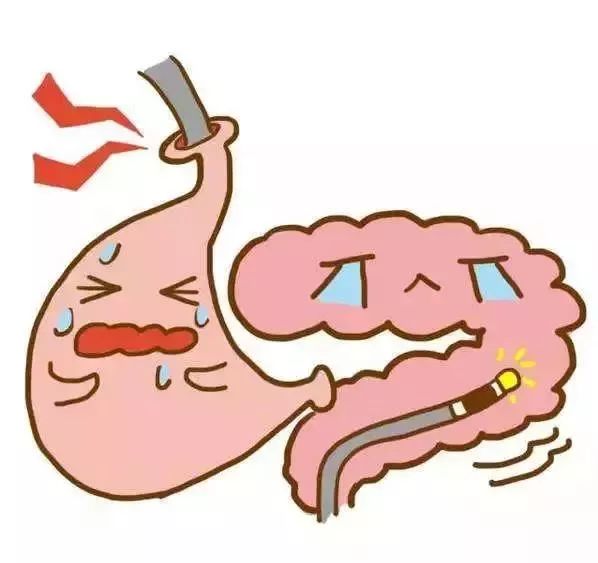 一岁半宝宝肠胃炎拉水便,1岁半宝宝肠胃炎大便有血是黄便