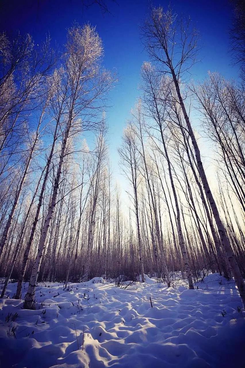 中国地大物博，知道东、南、西、北极在哪里吗？