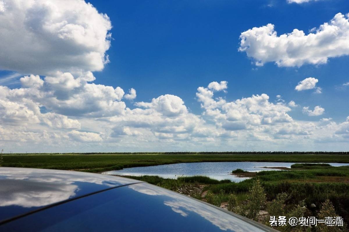 江苏一区是哪里的,江苏大丰麋鹿之乡