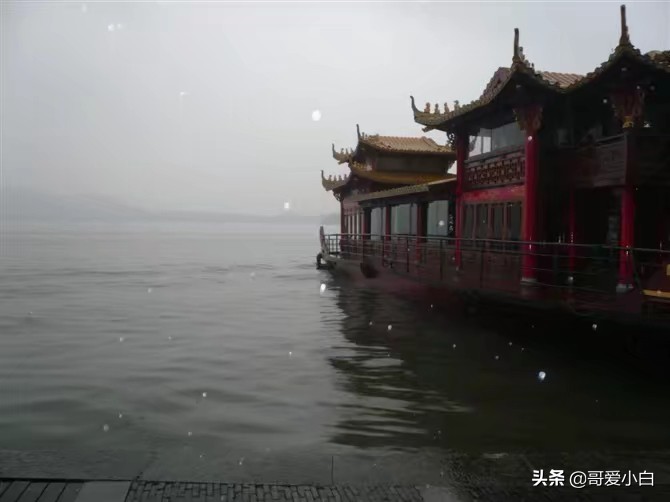 我的奇葩邻居-悲欢喜乐（二）