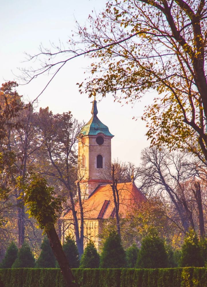 那些美到窒息的场景,那些美到让人窒息花海