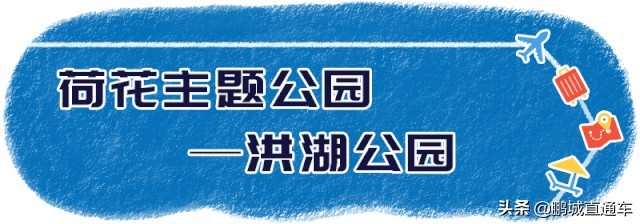 深圳八大主题公园免费开放,深圳遛娃50个必去的主题公园