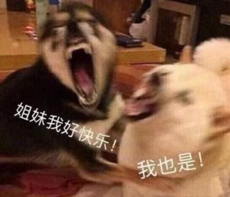 奥特莱斯会卖假鞋吗,奥特莱斯卖的品牌会假吗