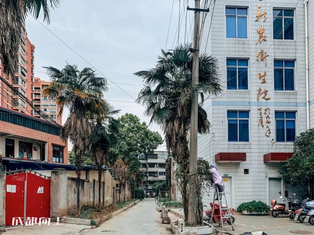 新繁今日现状,新繁最近事件