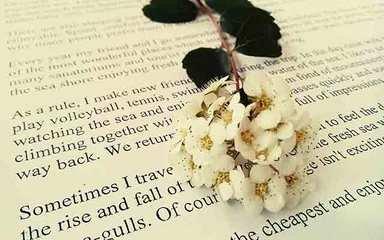 英语单词要自然拼读还是死记硬背,英语单词偏旁部首记忆法音标