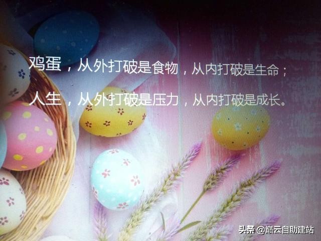 大学生互联网创业新点子100个,互联网创业点子