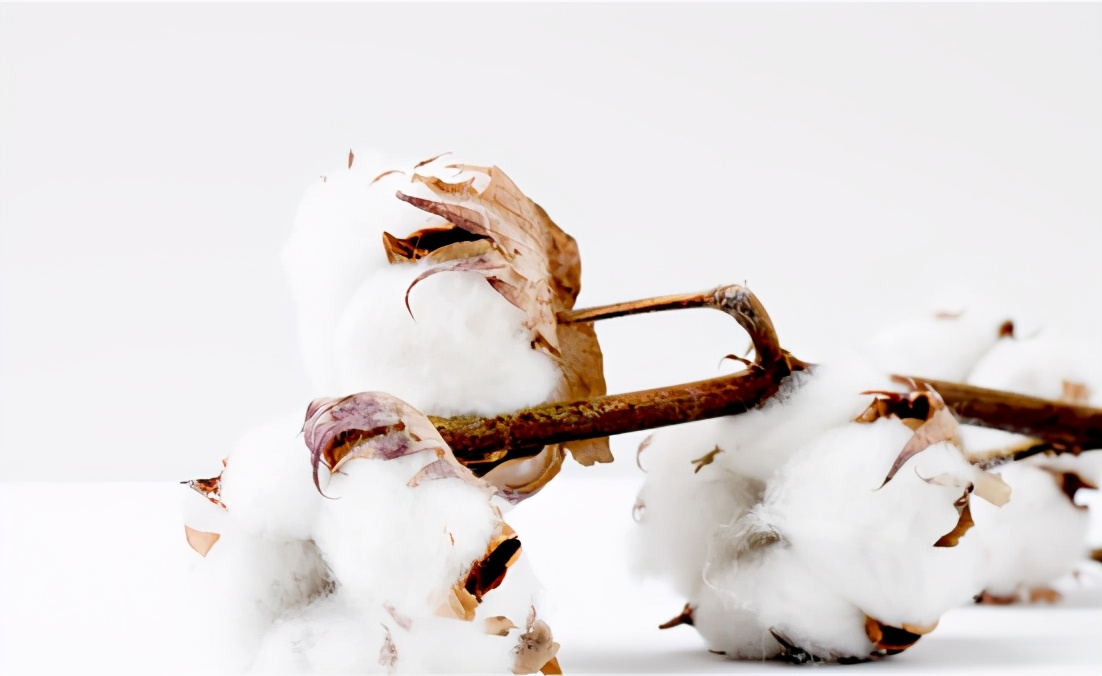 乐知品牌管理:又现全民*制抵**,盘点这些不作不死的国际品牌