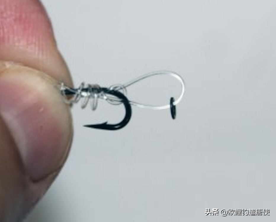 欧鲤钓钓组篇,欧鲤钓组和飞德钓组