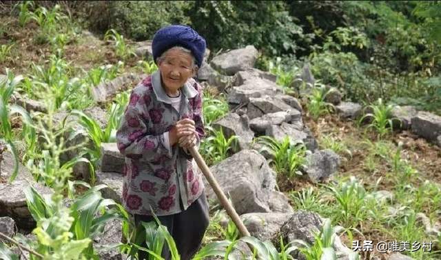 农民放弃耕种,农民放弃种地什么原因