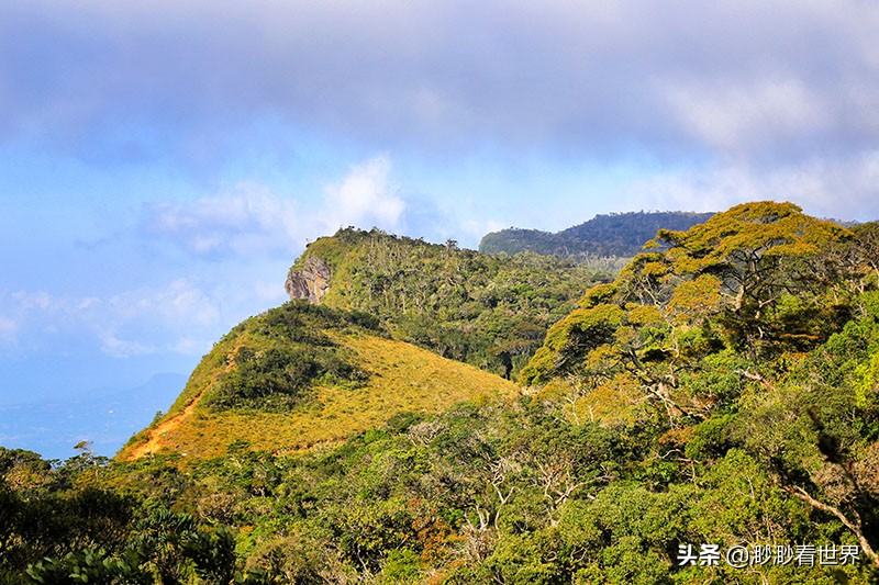 去斯里兰卡旅游攻略,1月去斯里兰卡旅游的最佳攻略