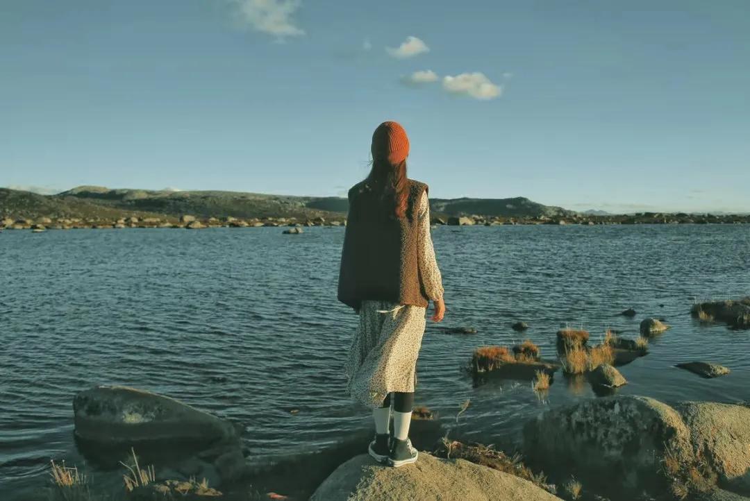 bbc最著名的纪录片关于自然,bbc最棒的8部纪录片讲述一战故事