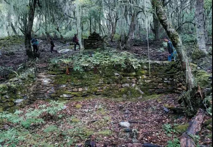 有一种风情叫江南烟雨,波密西藏江南