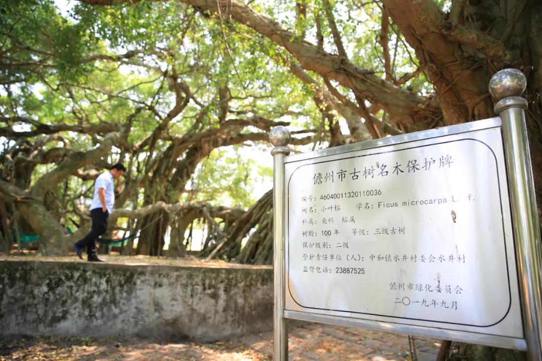 奋斗百年路启航新征程丨红色堡垒水井村！